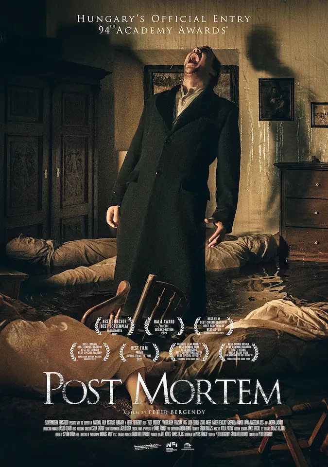 Постер фильма Пост Мортем